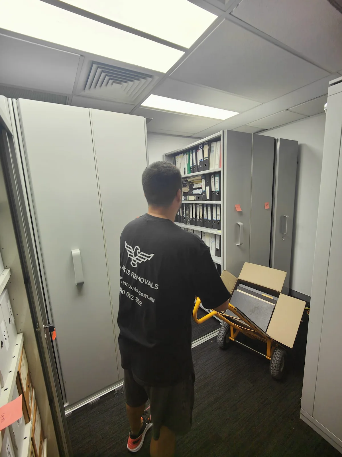 Expert Sydney to Newcastle removalists handling a commercial office relocation.